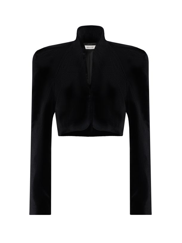 Укорочений жакет з оксамиту – предметна зйомка, фронтальний ракурс